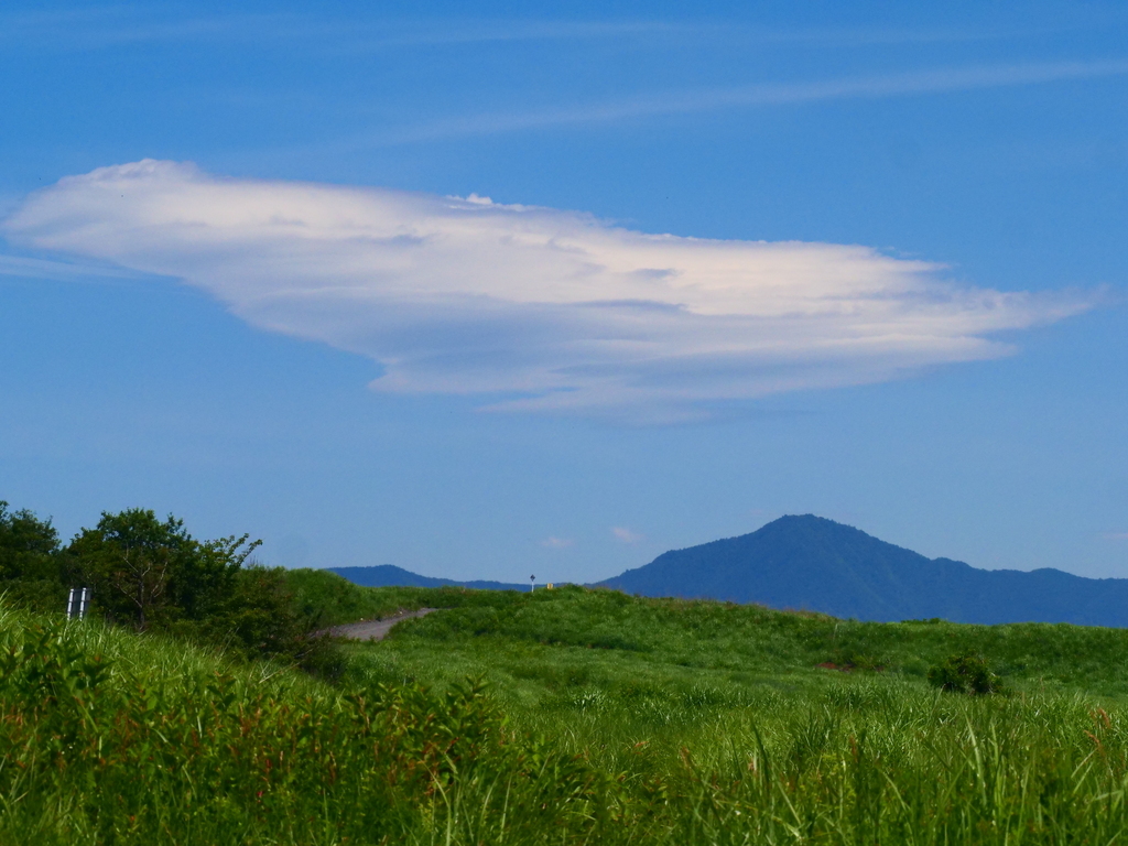 7月上旬 富士山麓花散策 ④ヤナギラン、フジイバラ、、、: 目黒のおじいちゃん